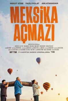 Meksika Açmazı Film İzle